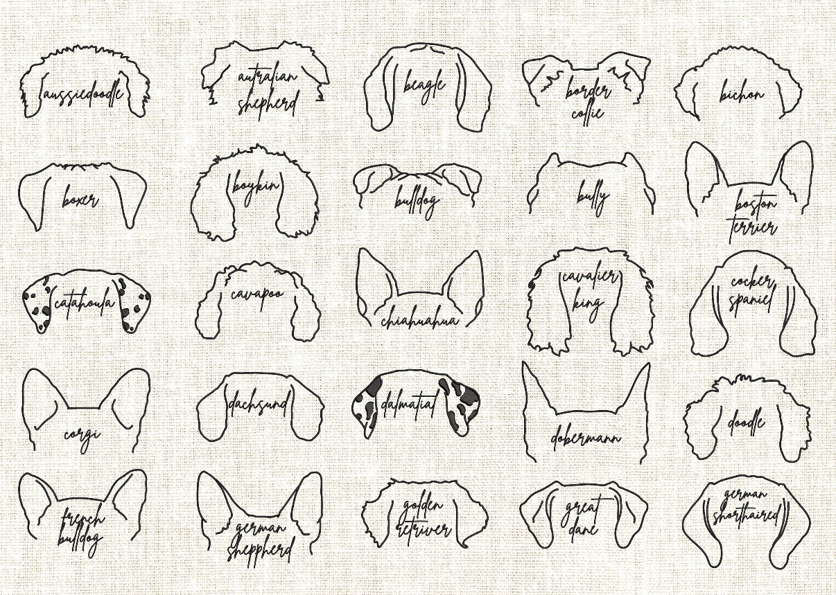 Dog/Cat Ear Outline