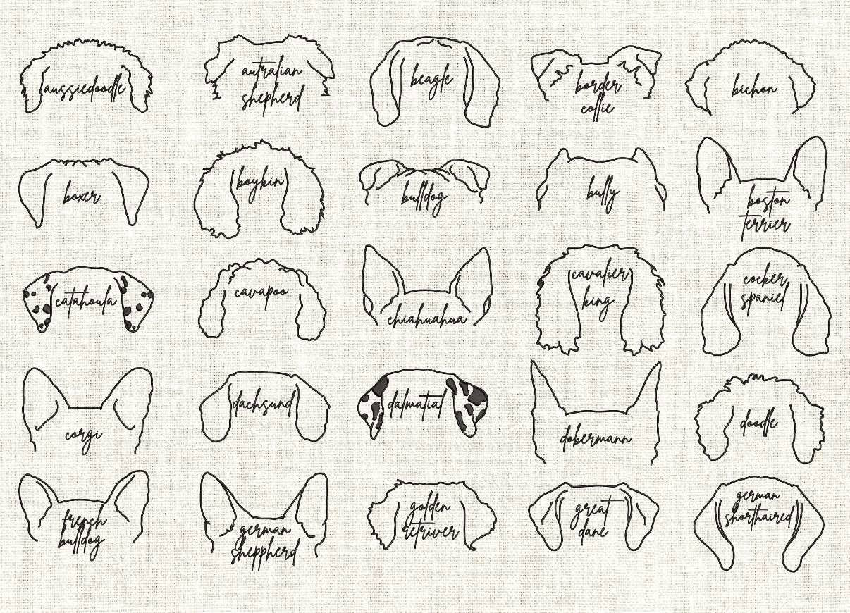Dog/Cat Ear Outline