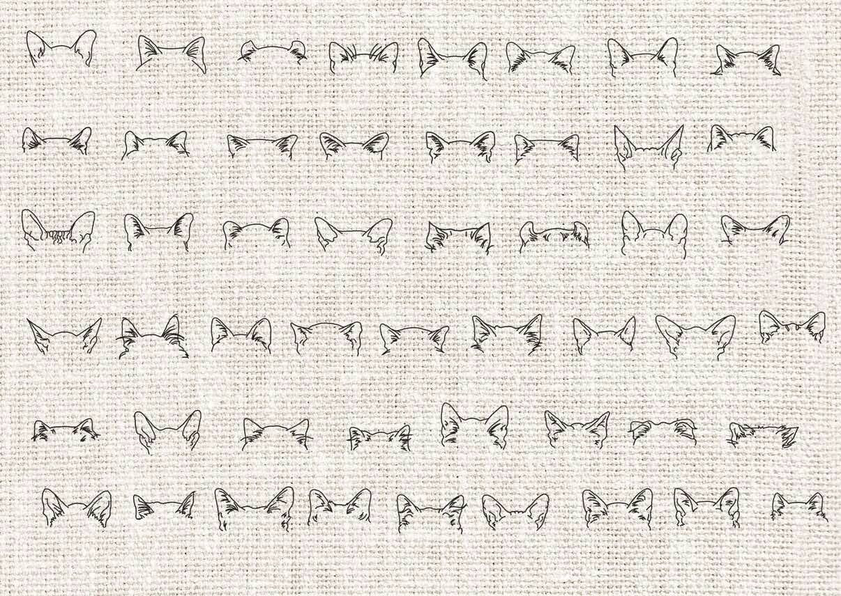 Dog/Cat Ear Outline